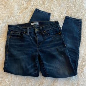 Madewell Skinny Skinny
